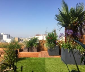 5_7 Wooden terrace with tropical plants