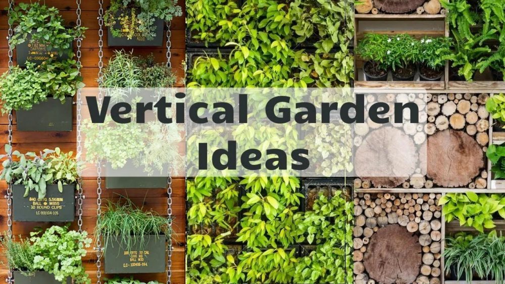 Vertical garden ideas