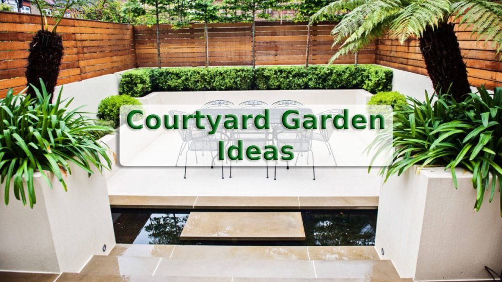 Top 200 Courtyard garden Design