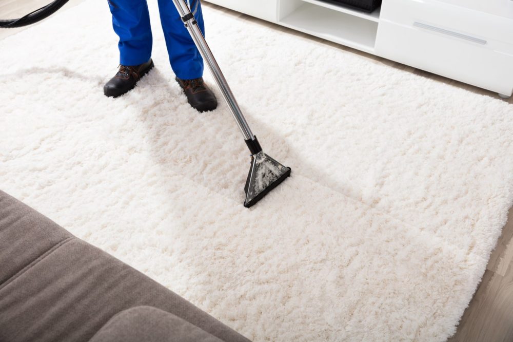 Professional Rug Cleaning Services vs DIY: what better?