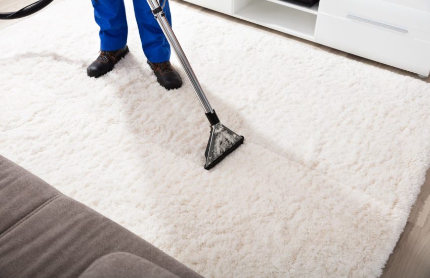 Professional Rug Cleaning Services vs DIY: what better?